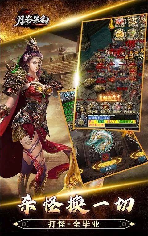 月影黑白龙胆攻速天命分身截图